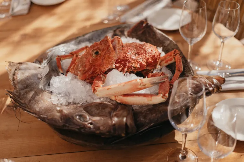 From the Tides to the Table: How Elite Beach Clubs Are Championing Hyperlocal Coastal Cuisine